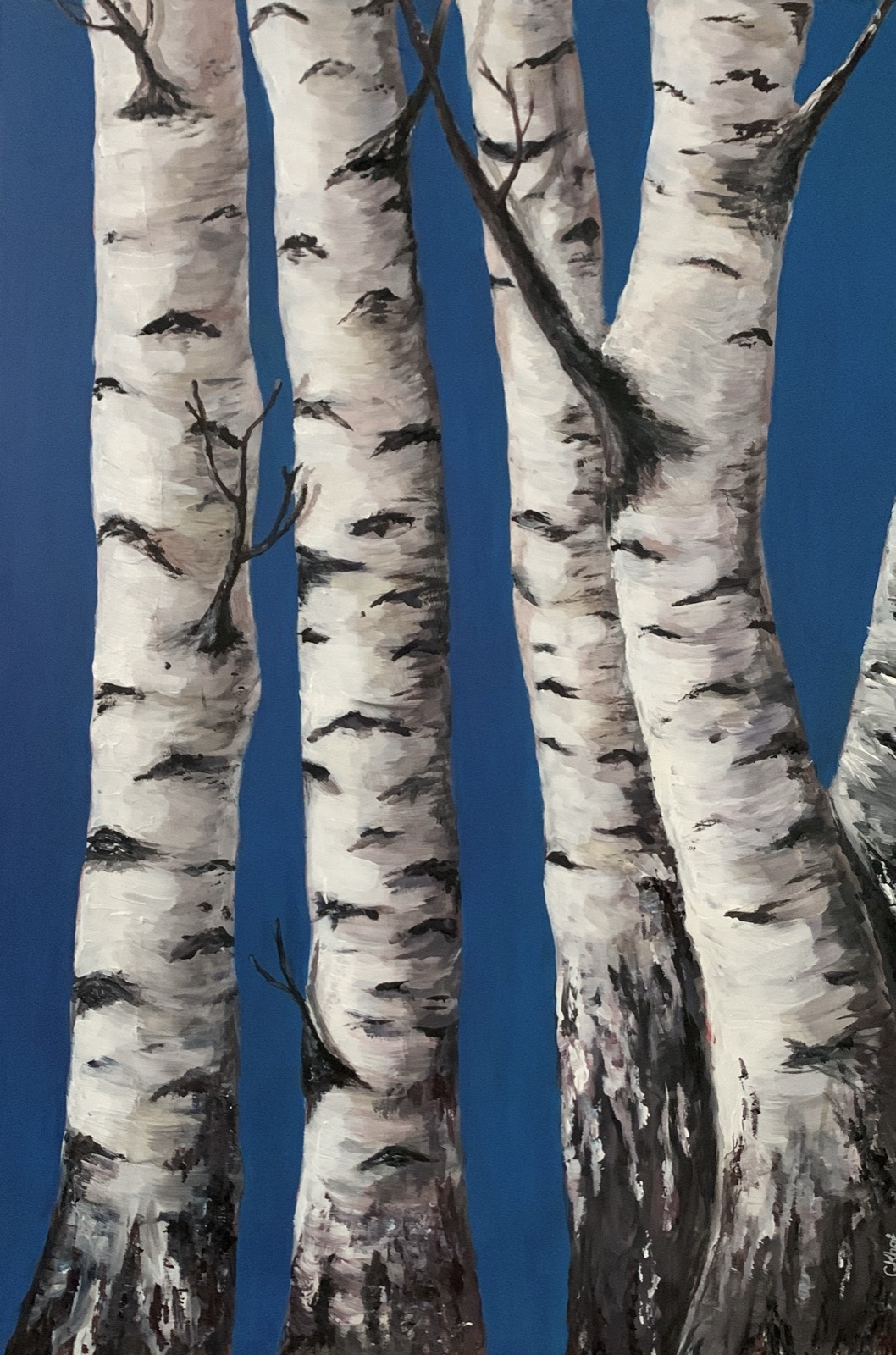 Birches, an acrylic landscape painting by Gulnaz Khafizova